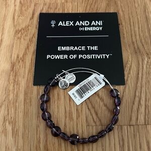 Alex and Ani Amethyst Luxe Bracelet